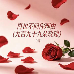 再也不问你理由（九百九十九朵玫瑰）