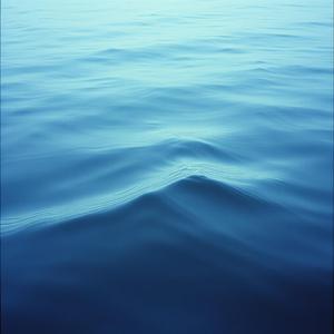 Una stanza vuota e un cuore in allarme by @shiveringbootleg4372