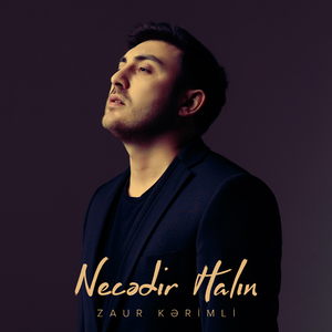 Necədir Halın