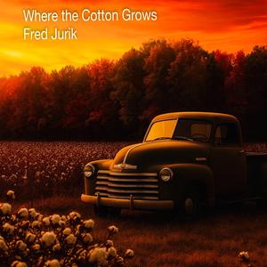 Where the Cotton Grows