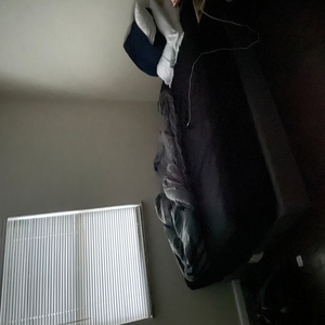 pills and cut up flowers (demo) (demo)