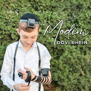 Modim (feat. Dovid Pearlman)