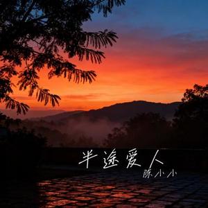 半途爱人 (Cover 王佳音)