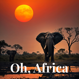 In South Africa's Land