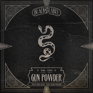 Gun Powder