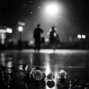 你不在我不再（demo）