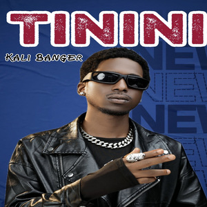 Tinini
