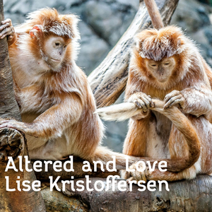 When You Really Loved Someone