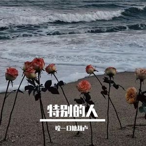 特别的人