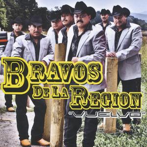 Vuelvo