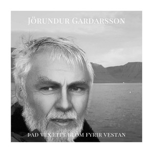 Hugleiðingar um nýja heimstyrjöld