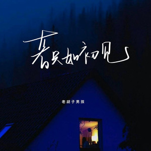 若只如初见 (伴奏)