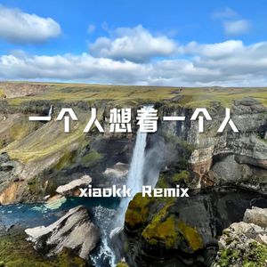 一个人想着一个人dj （xiaokk Remix）