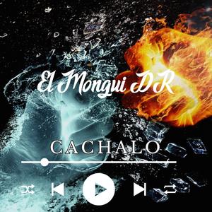 Cachalo