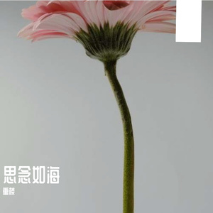 你若未娶我若未嫁