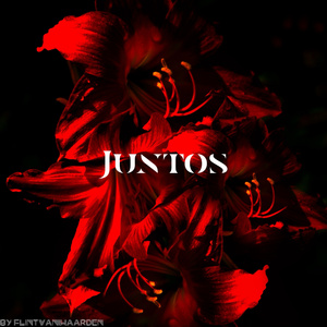 Juntos