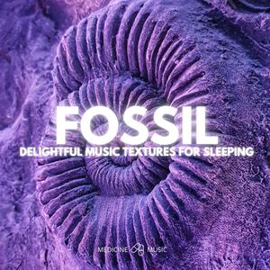 Fossil (Delightful Music Textures For Sleeping)