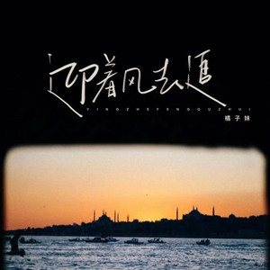 迎着风去追（爱的人追不回）