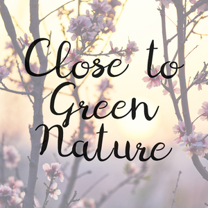 Calming Zen with Birdsong