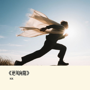 《逆风向阳》