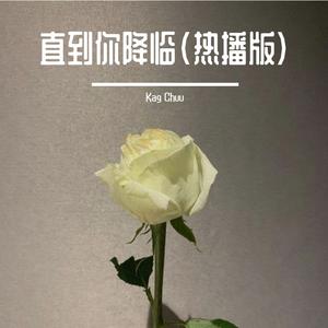 直到你降临（热播版）