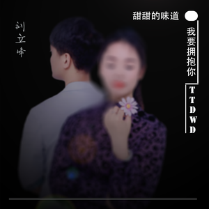 刘立峰、紫月 - 甜甜的味道 (DJ版)