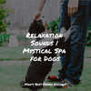 Jazz Music Therapy for Dogs - Take a Break