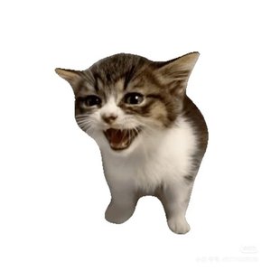 怎么抹掉喜欢过傻子的黑历史