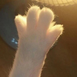 谁动了我的琴弦（cover：周笔畅）