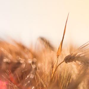 색으로 물든 밤하늘