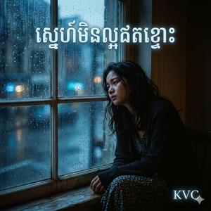 ស្នេហ៍មិនល្អឥតខ្ចោះ (Imperfect Love)