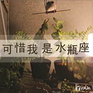 可惜我是水瓶座 (鋼琴版)