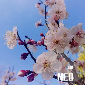 阿肆-热爱105度的你（钢琴版）（流岚 remix）