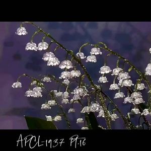 雨下时我们期待下雪、针织帽和围巾