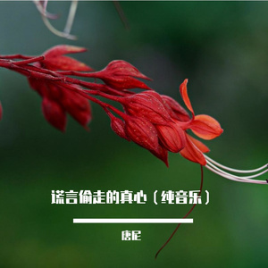 谎言偷走的真心（纯音乐）