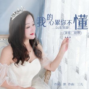 我的心累你不懂（DJ彭锐版）