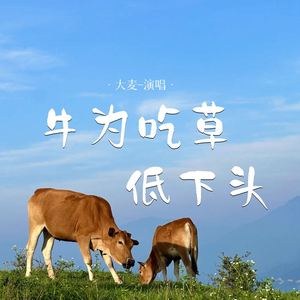 牛为吃草低下头 (DJ默涵版)