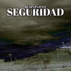 Seguridad