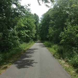 Lost And Wandering