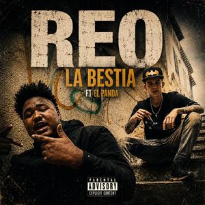 Reo