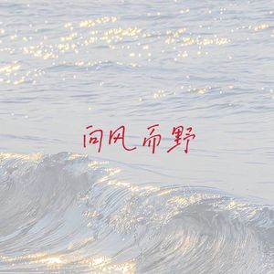 向风而野