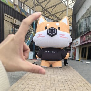 “大家一定别感冒”