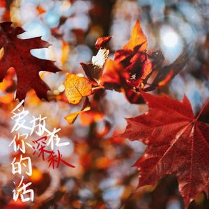 爱你的话放在深秋