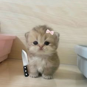 I Got Plenty O' Nuttin (sped up)