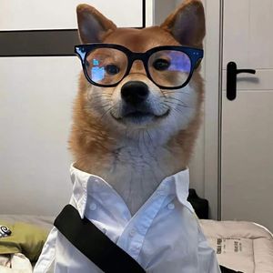 迪士尼在逃公主