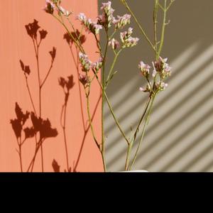 それでも朝は来た