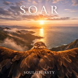 Soar