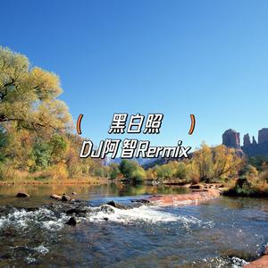 黑白照（DJ阿智 remix）