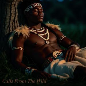 Calls From The Wild