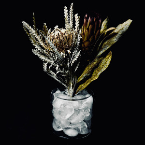 僕はここに居られないよ